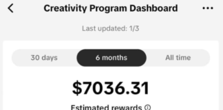A Small Achievement After 3 Months, and 5 Hours a Day for TikTok Beta
